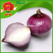 China red onion exporter